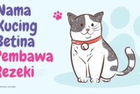 Nama Kucing Betina