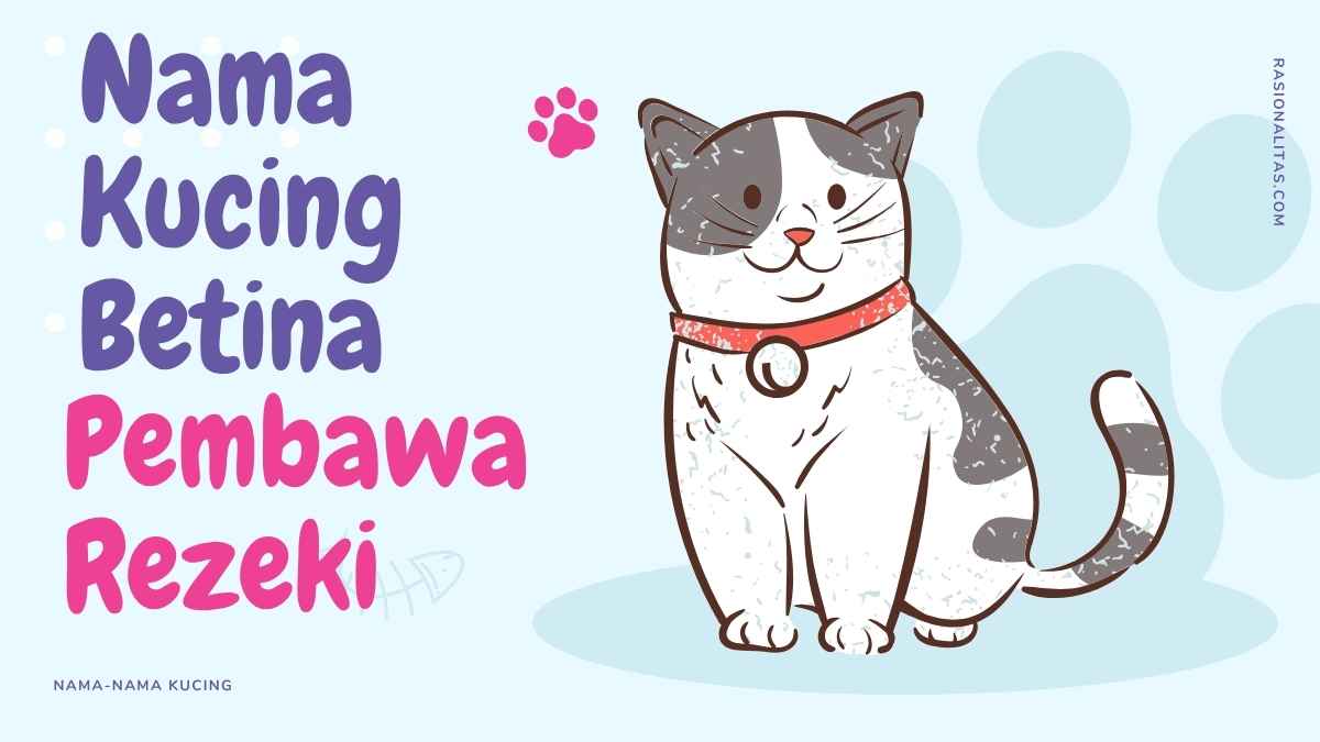 Nama Kucing Betina
