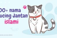 Nama Kucing Jantan Islami