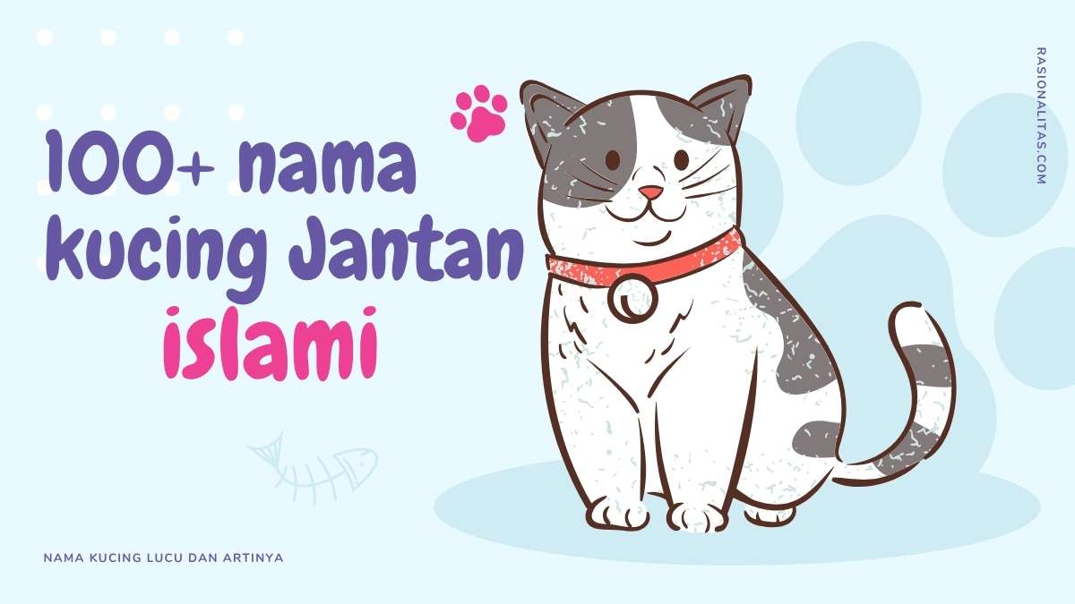 Nama Kucing Jantan Islami