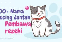 Nama Kucing Jantan Pembawa Rezeki