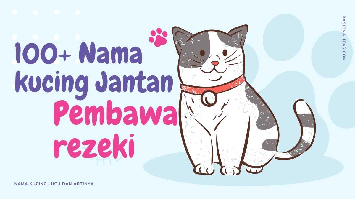 Nama Kucing Jantan Pembawa Rezeki