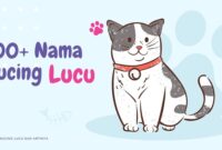 Nama Kucing Lucu