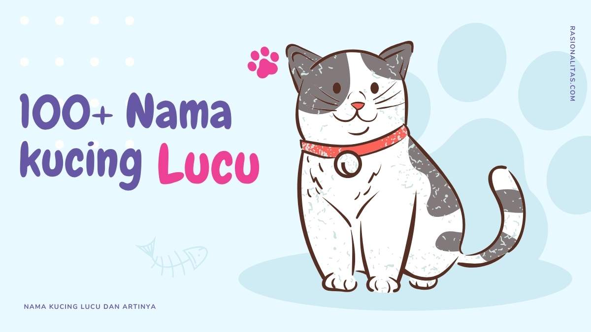 Nama Kucing Lucu