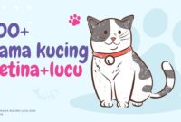 nama kucing betina