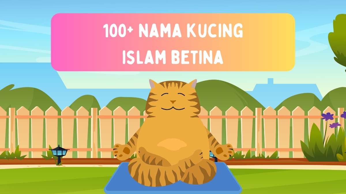 nama kucing islam betina