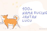 nama kucing jantan