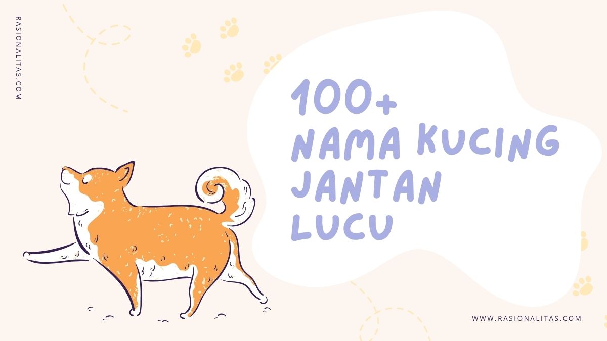 nama kucing jantan
